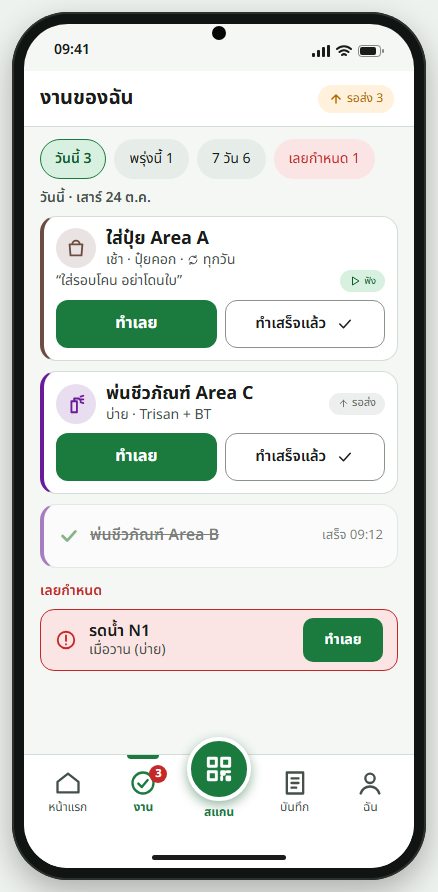 ภาพตัวอย่าง (แบบร่าง) หน้างานของฉันแบบร่าง