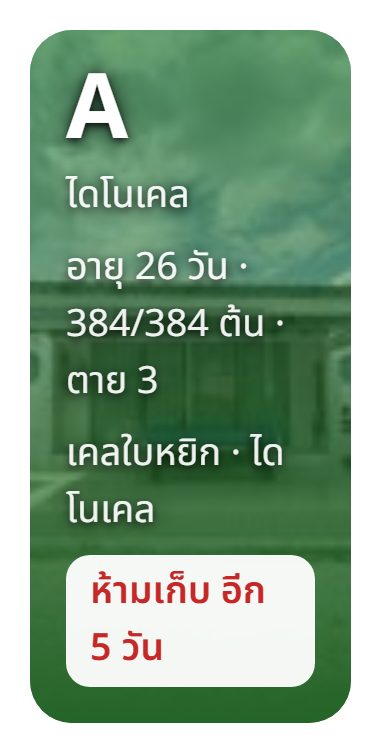 กล่อง Area มีชิปห้ามเก็บ จำนวนต้น และพันธุ์